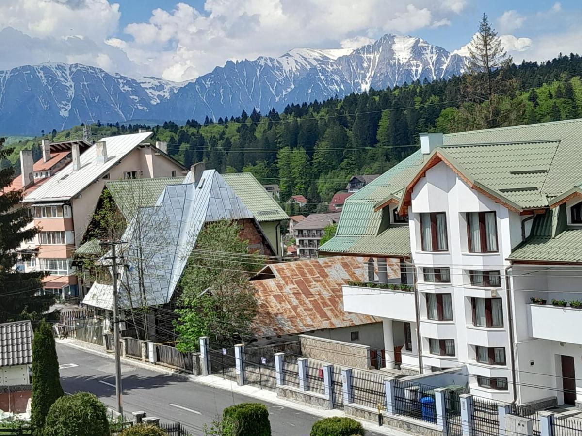 普雷代亚尔 可可旅馆酒店 外观 照片
